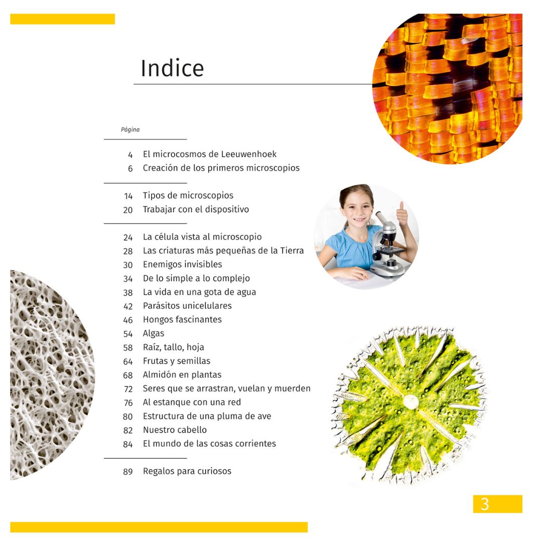 The Invisible World. Educational Book