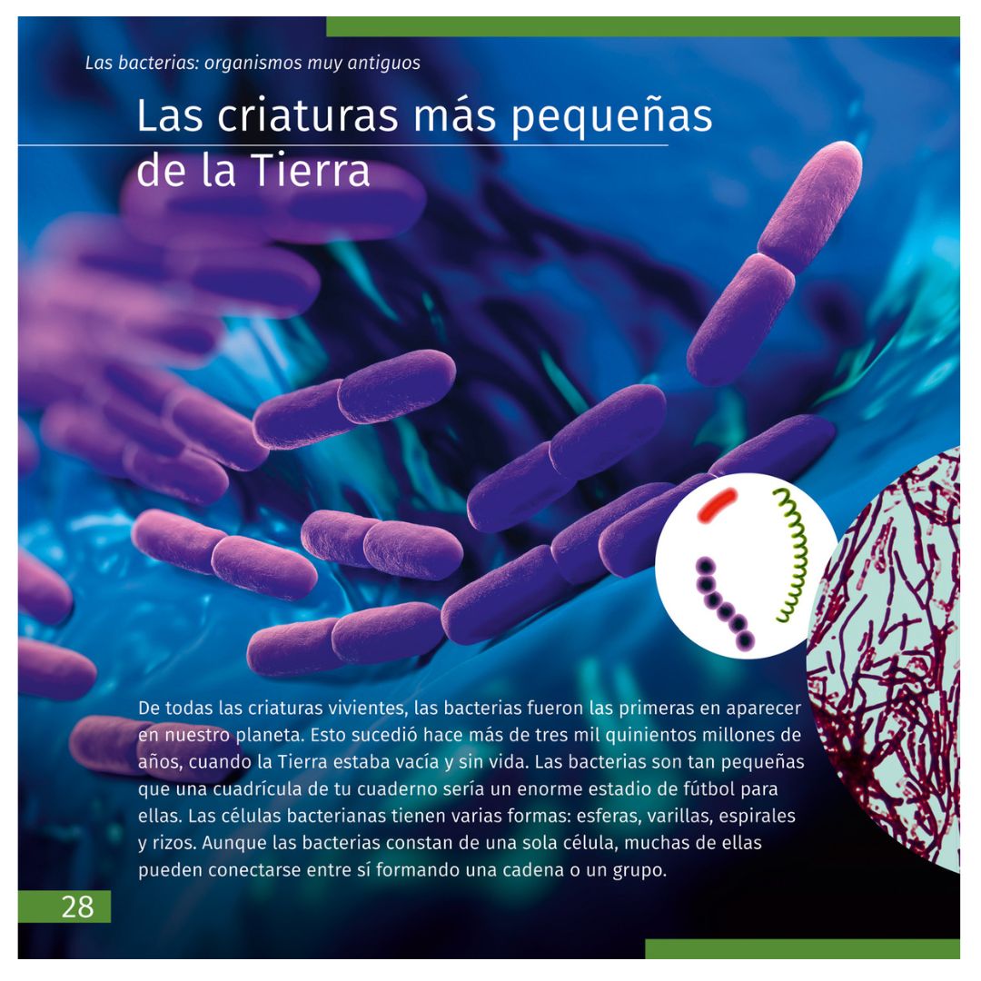 The Invisible World. Educational Book