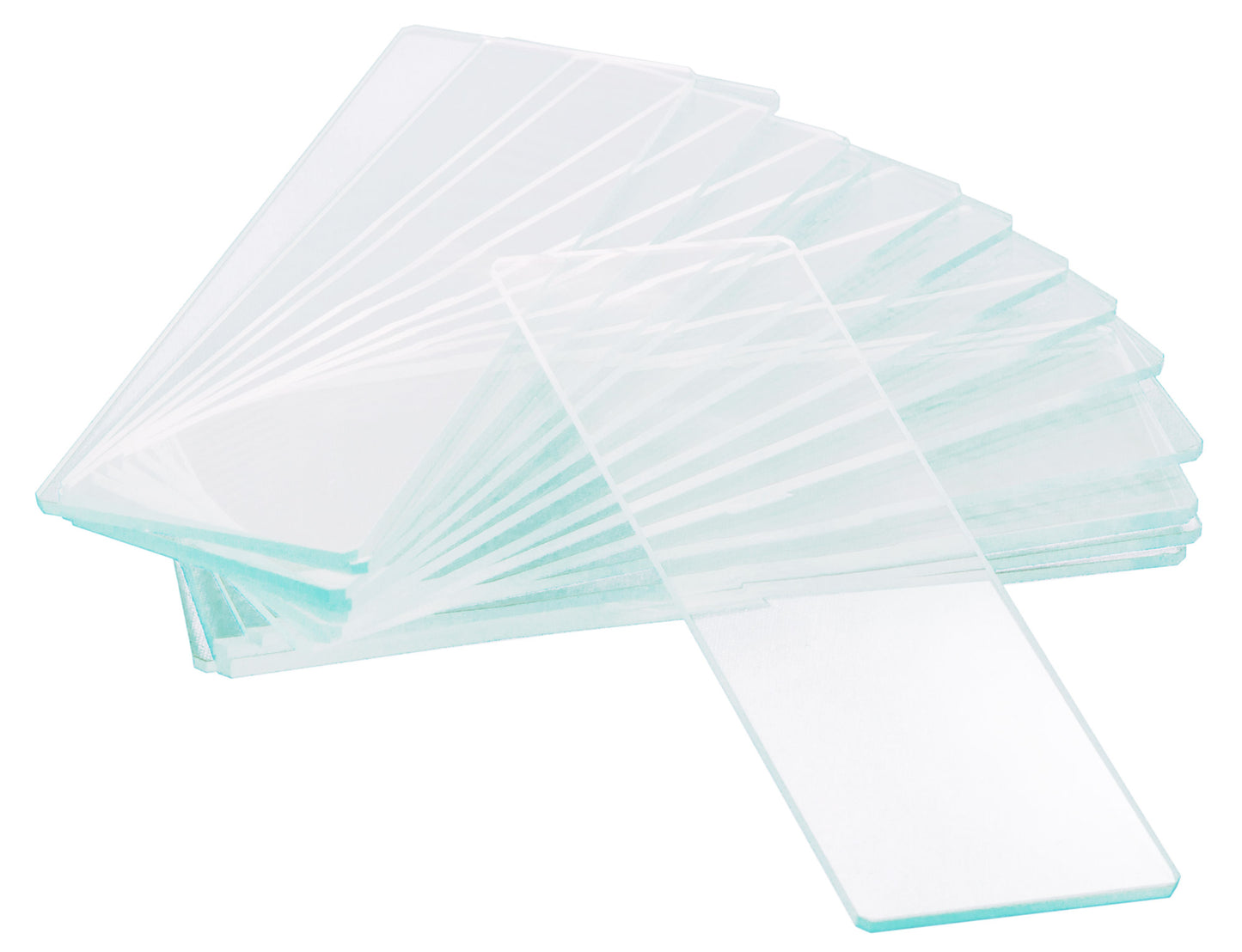 Levenhuk G50 1H Empty Single-Cavity Slides, 50 pcs