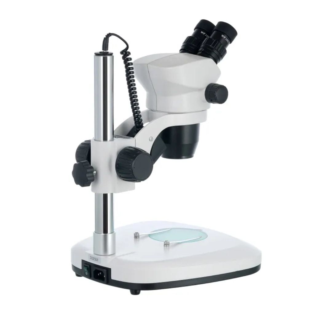 Microscopio binocular Levenhuk ZOOM 1B