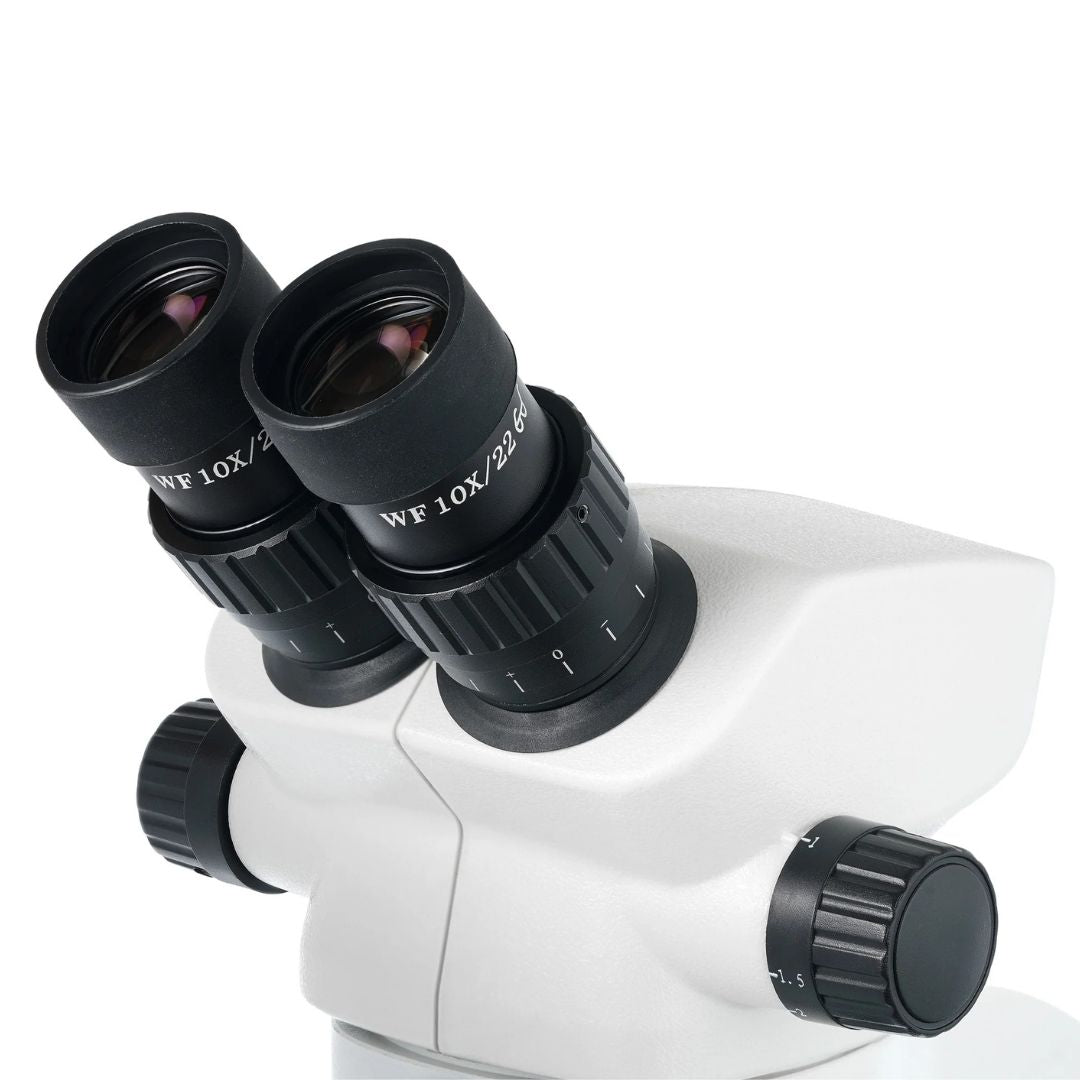 Microscopio binocular Levenhuk ZOOM 1B