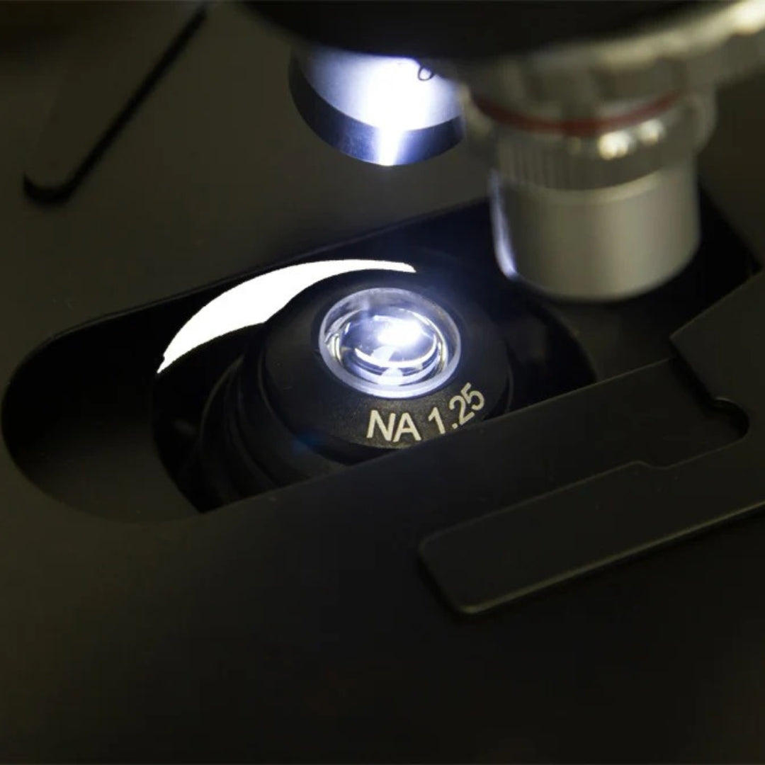 Microscopio binocular Levenhuk 720B
