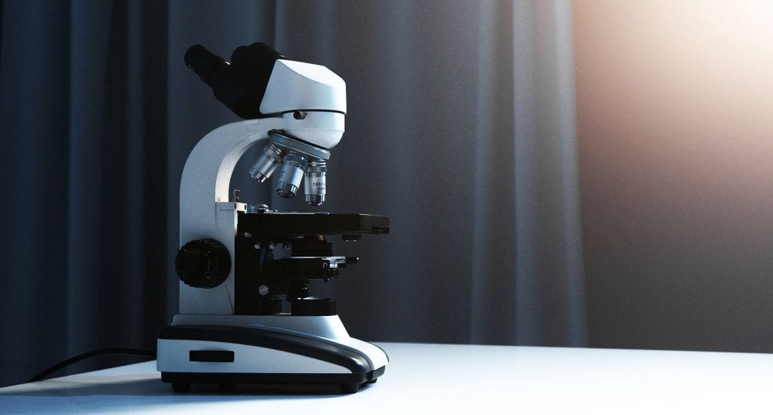 Tipos de Microscopios y Para Qué Sirven