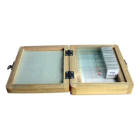 Juego de 20 preparados en caja de madera,