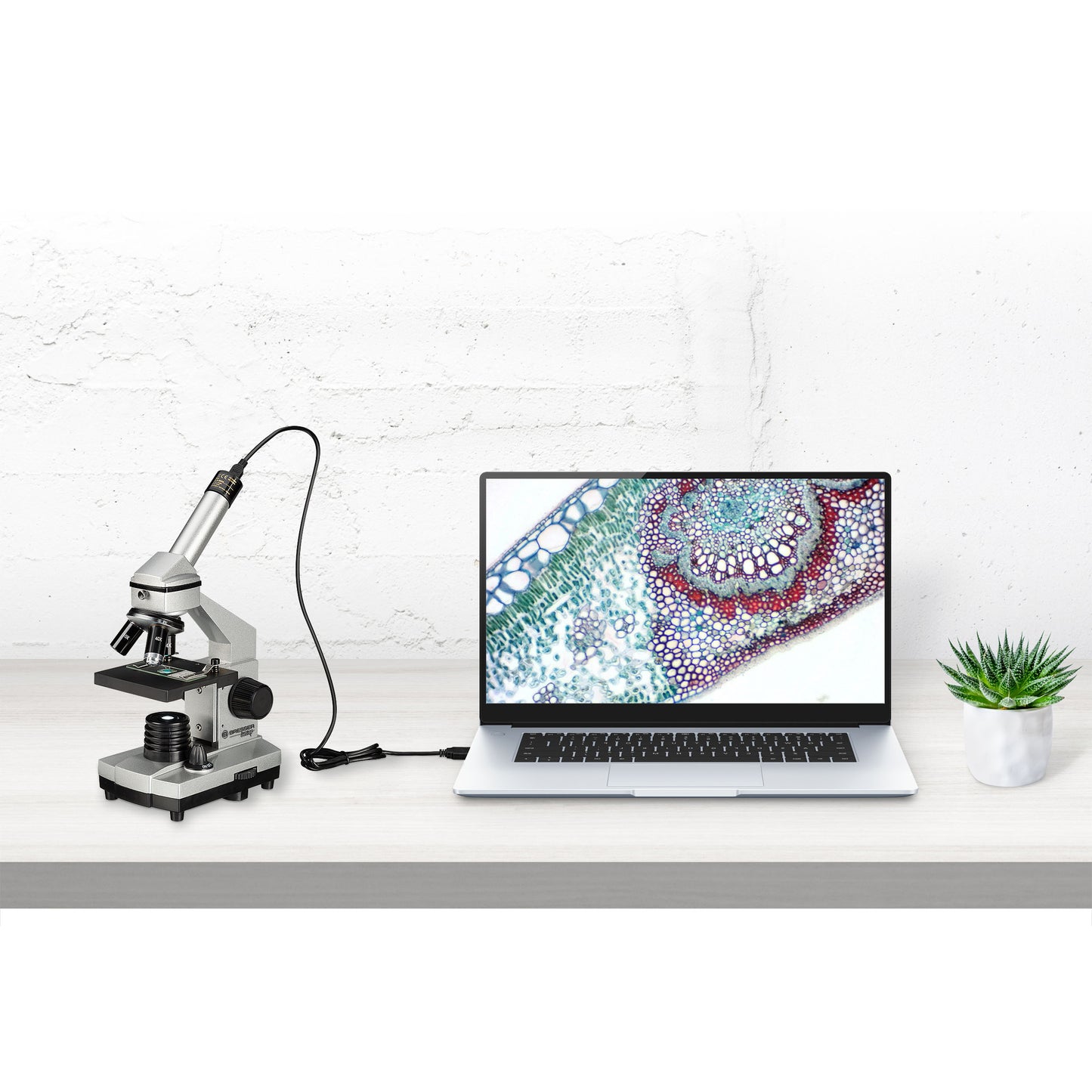 BRESSER JUNIOR 40x-1024x Microscopio con Cámara ocular HD