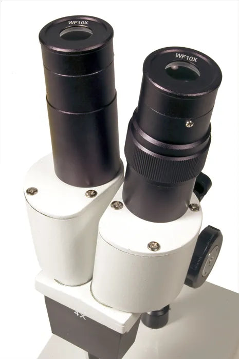 Microscopio Levenhuk 2ST